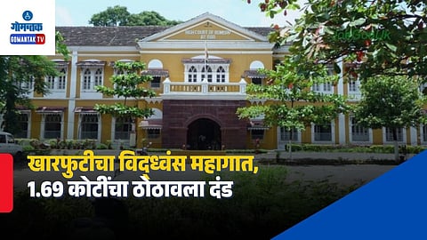 Goa High Court Mangrove Case