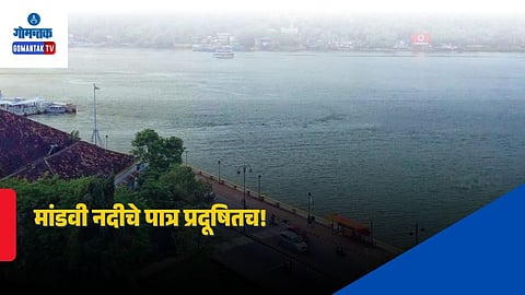 Mandovi River Pollution Report
