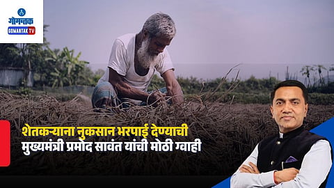 Goa Crop Loss Compensation
