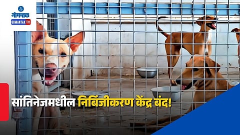 Santainez Animal Sterilization Centre