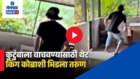 Viral Snake Video