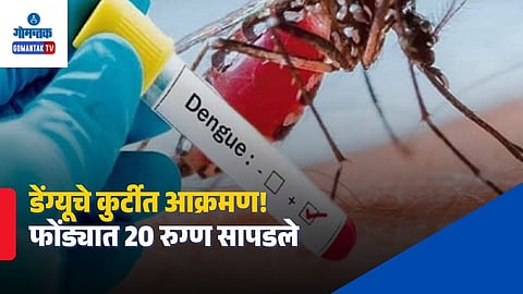 Curti Dengue Outbreak