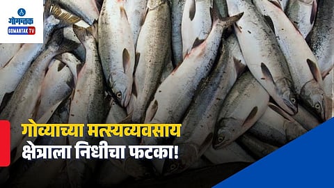 PM Matsya Sampada Yojana Goa