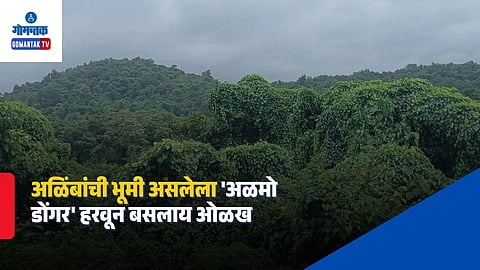 Almo Mountain Goa Maharashtra