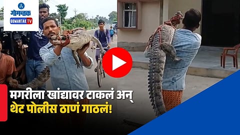 Bihar Viral crocodile video