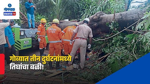 Three killed In Goa Accident
