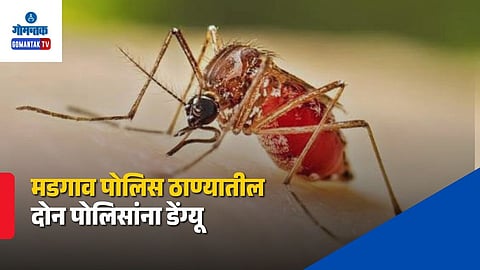 Margao Police Station Dengue Cases