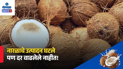 Goa Coconut Production Decline