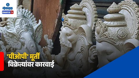 Goa POP Ganesh Idols Ban