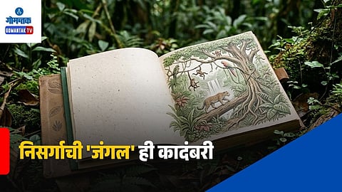 Amazing Life Story of Nature