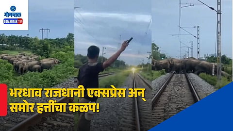 Assam Forest Official Stops Train Save Elephants