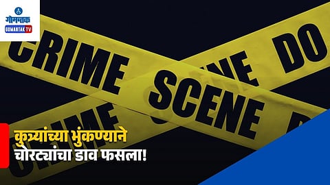 Marna Siolim Burglary Attempt
