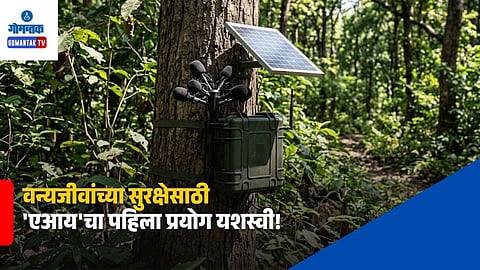 AI Wildlife protection System India