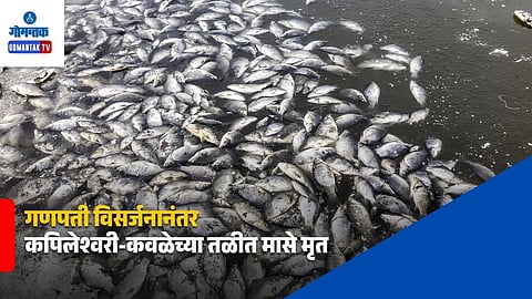 Kapileshwari Kavale Pond Fish Death