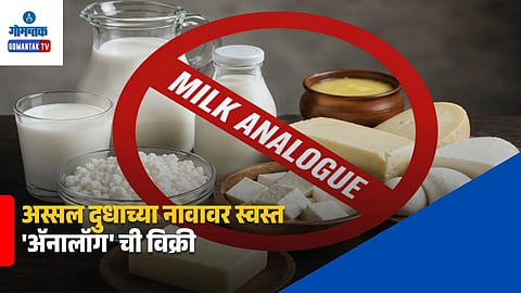 Milk Analogue Goa Hotels