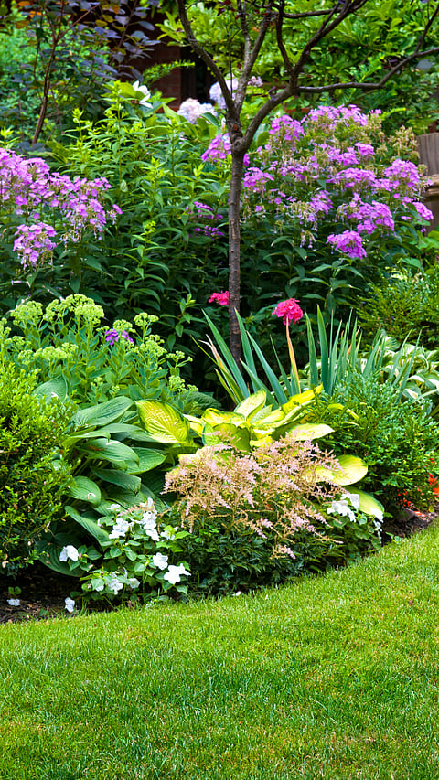 Gardening Tips