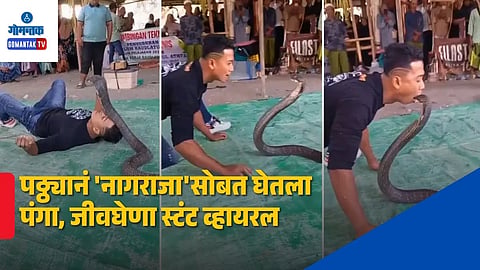 King Cobra Stunt Viral Video