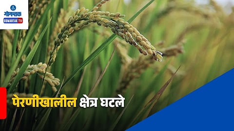Kharif Sowing Area Decline 2026