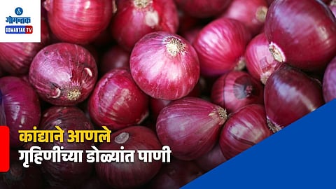Goa Current Onion Rates