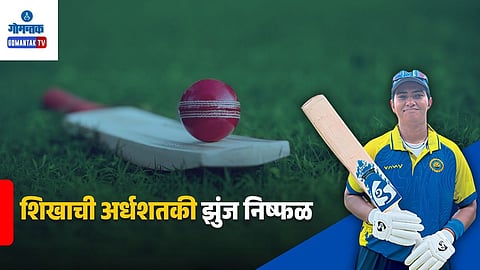 Shikha Pandey 53 Runs