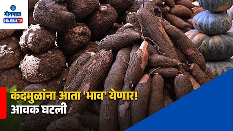 Goa Tuber Vegetables Market