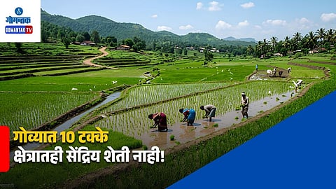 Organic Farming in Goa