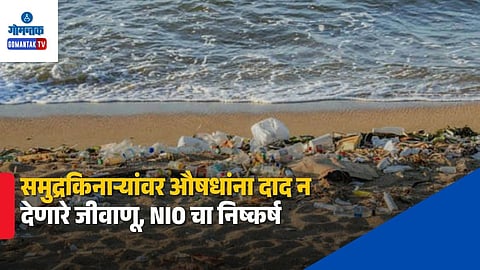 nio study goa beaches water quality