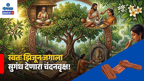 Sandalwood Medicinal Uses
