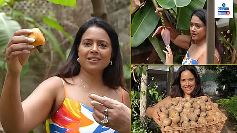 Sameera Reddy Goa House