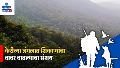 Forest Safety Goa