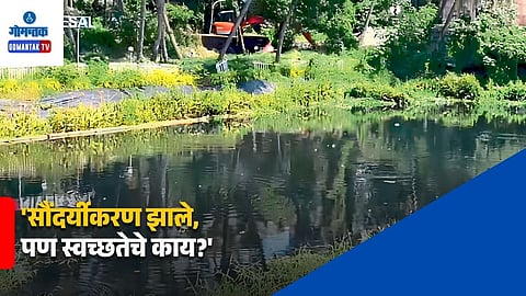 Sal River Water Contamination