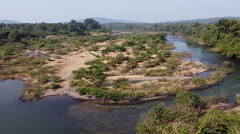 Mahadayi River