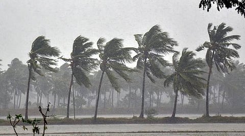 Cyclone