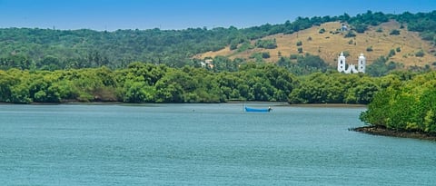 Mandovi River Goa.jpg