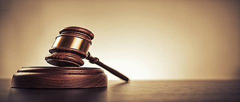 Goa Government: कत्तल होऊनही पर्यावरण व कायद्यानुसार सरकारने कारवाई न केल्याने मुंबई उच्च न्यायालयाच्या गोवा खंडपीठाकडून गंभीर दखल