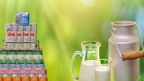 Goa Dairy milk 