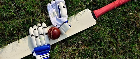 cricket.jpg