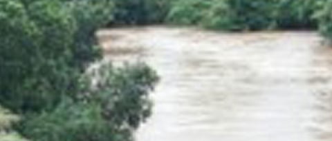 सत्तरी तालुक्यात पावसाची दिवसभर संततधार