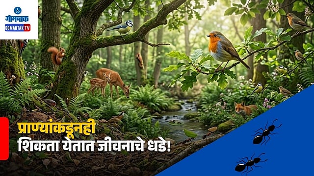 Goa animal health policies