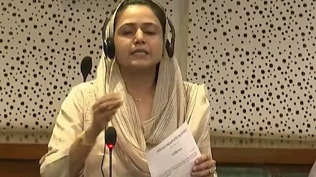 NCP distances itself from Maharashtra MLA Sana Malik's remarks on polygamy