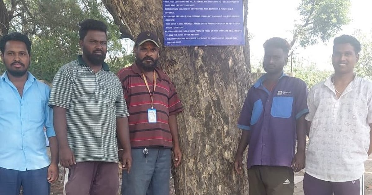 News 29 BCC designates 26 feeding zones for stray dogs