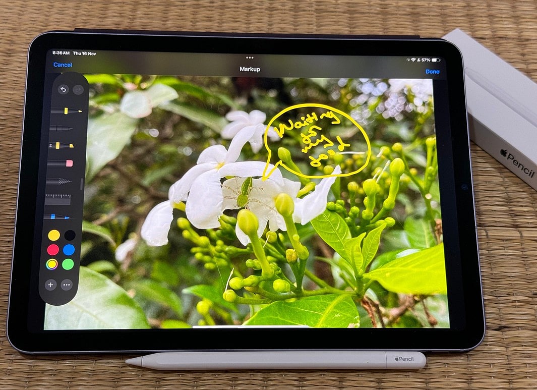 Apple Pencil (USB-C) Review: Reliable handy tool for fun and work