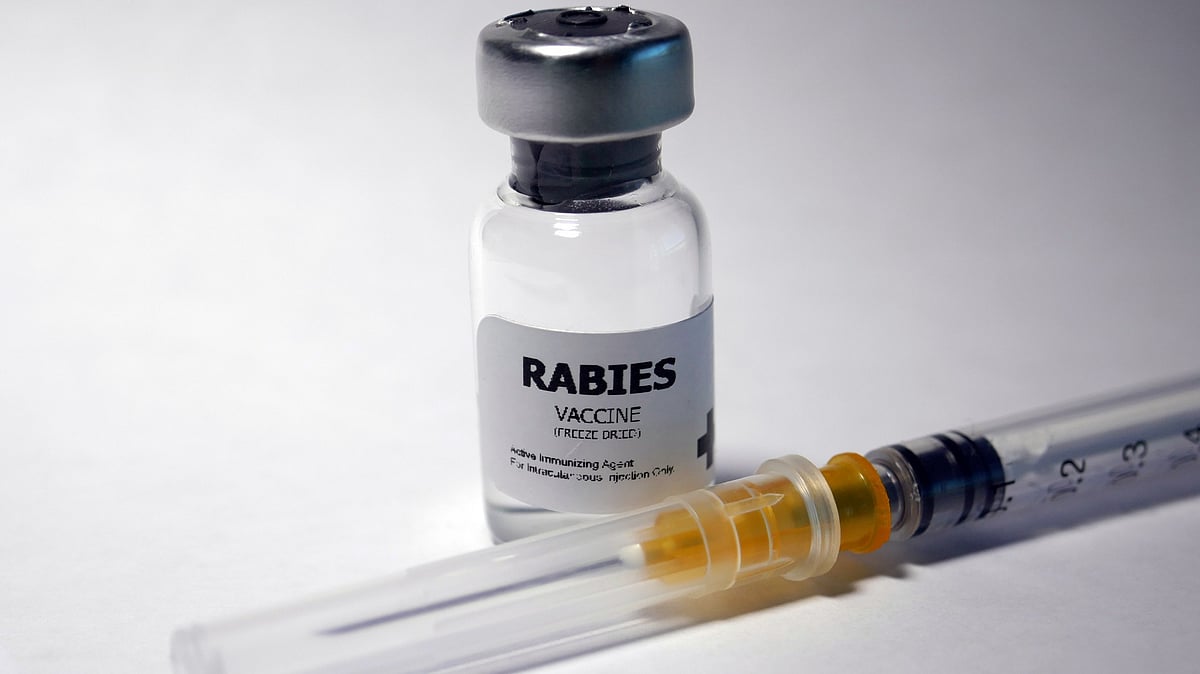 Spurious Abhayrab anti-rabies vaccine detected in Delhi