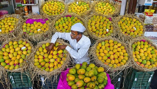 Nepal government restricts imports of mangoes from India