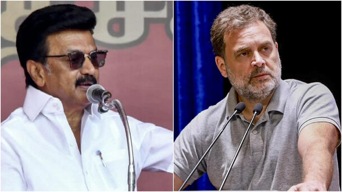 'Brother hasn't grown up at all, jumped ship for shiny new toy': DMK on Congress, calls Rahul a 'massive joke'