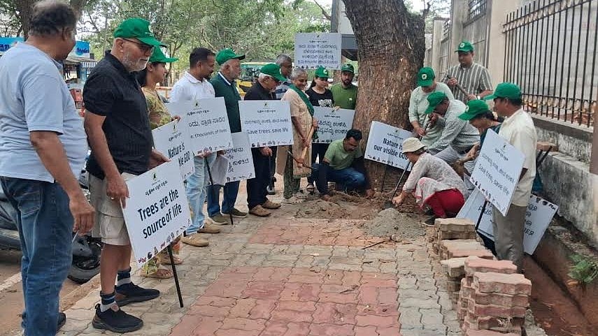 Mysuru residents seek to fell over 11,000 trees on private land in four years