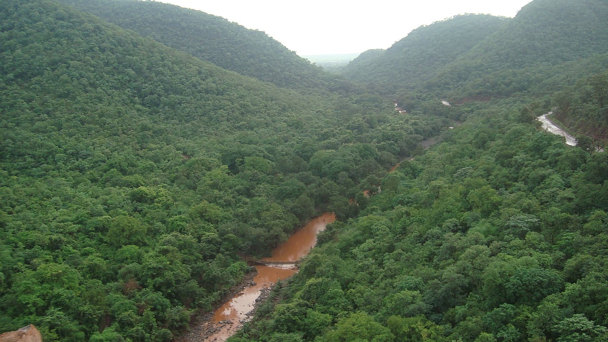 Karnataka: Over 1,000 acres of Sandur reserved forest land illegally converted to revenue land