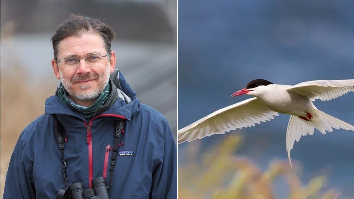 From power lines to habitat loss, dangers mount for migratory birds: BirdLife CEO