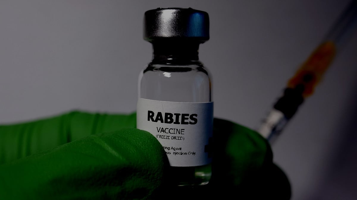 Drug regulator flags mainstream rabies vaccine Abhayrab after finding it ‘sub standard’