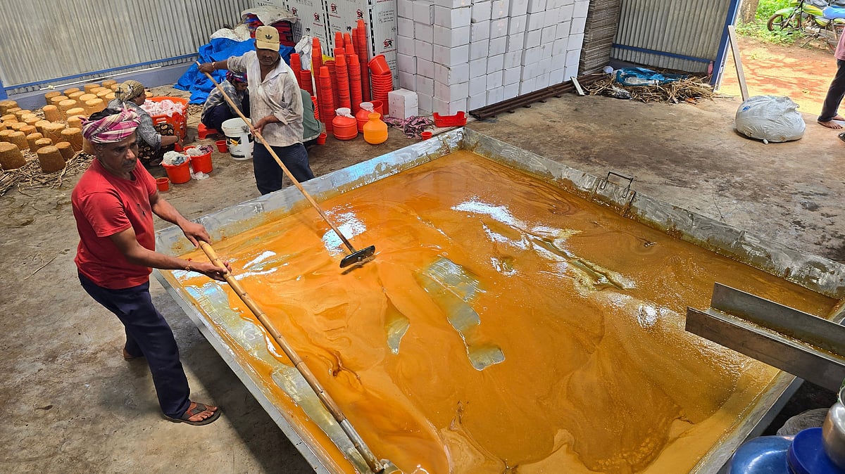 Jaggery price rises as sugar becomes costlier